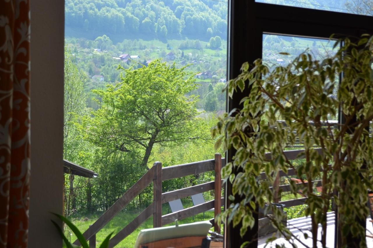 Гостевой дом Inspire View Бран-9